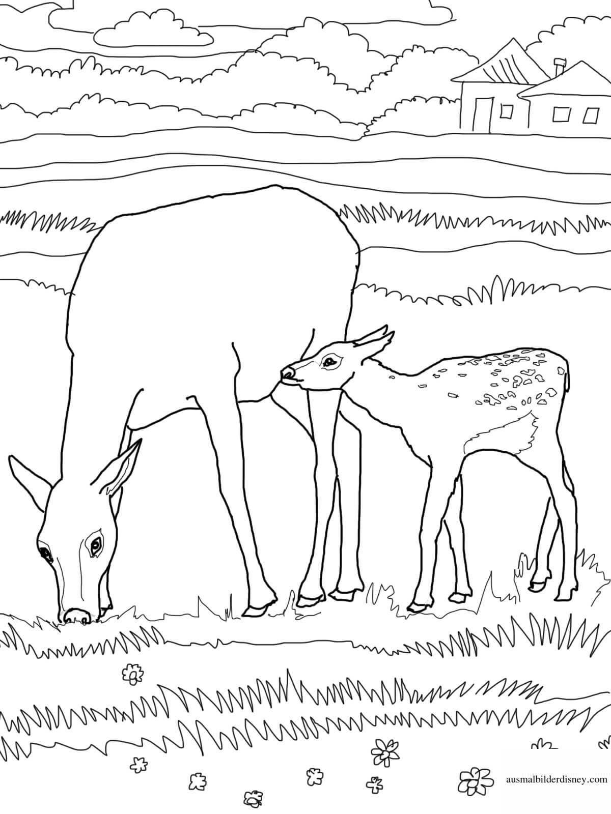 Coloring exotic tundra animals