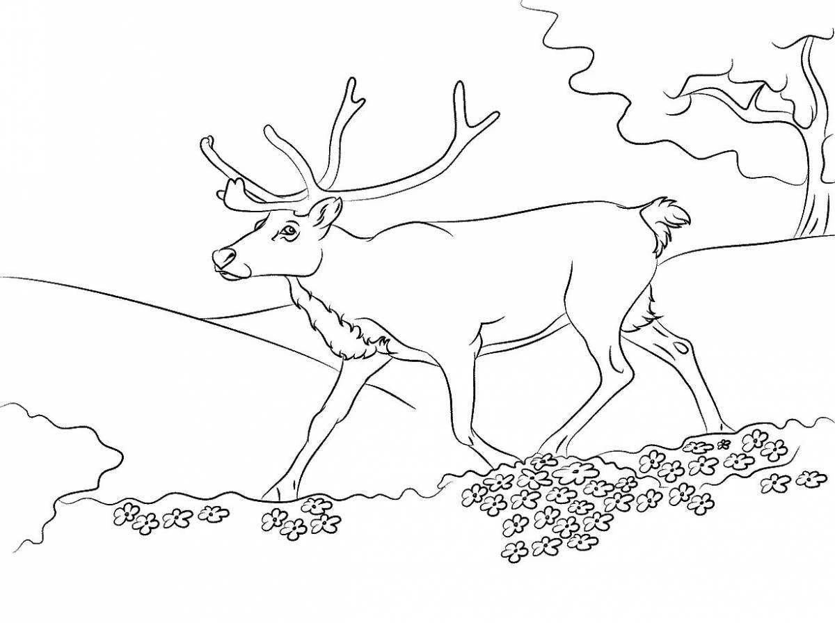 Charming tundra animal coloring book