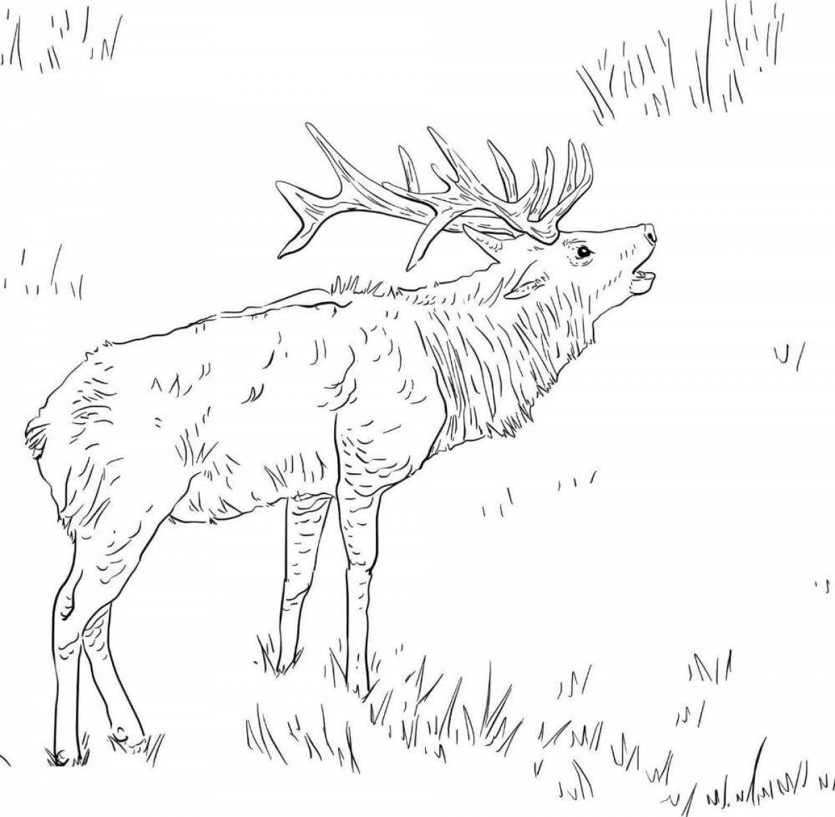 Tempting tundra animal coloring page