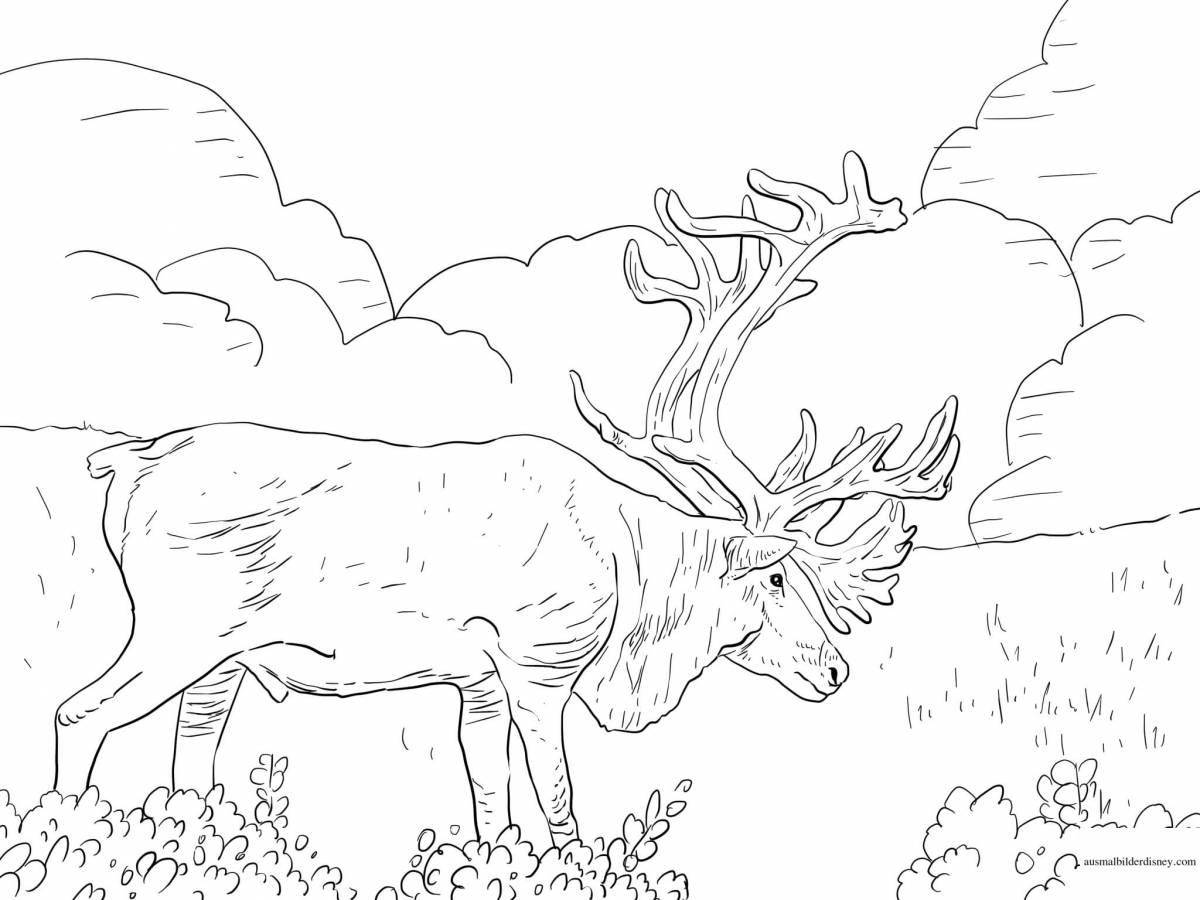 Charming tundra coloring book