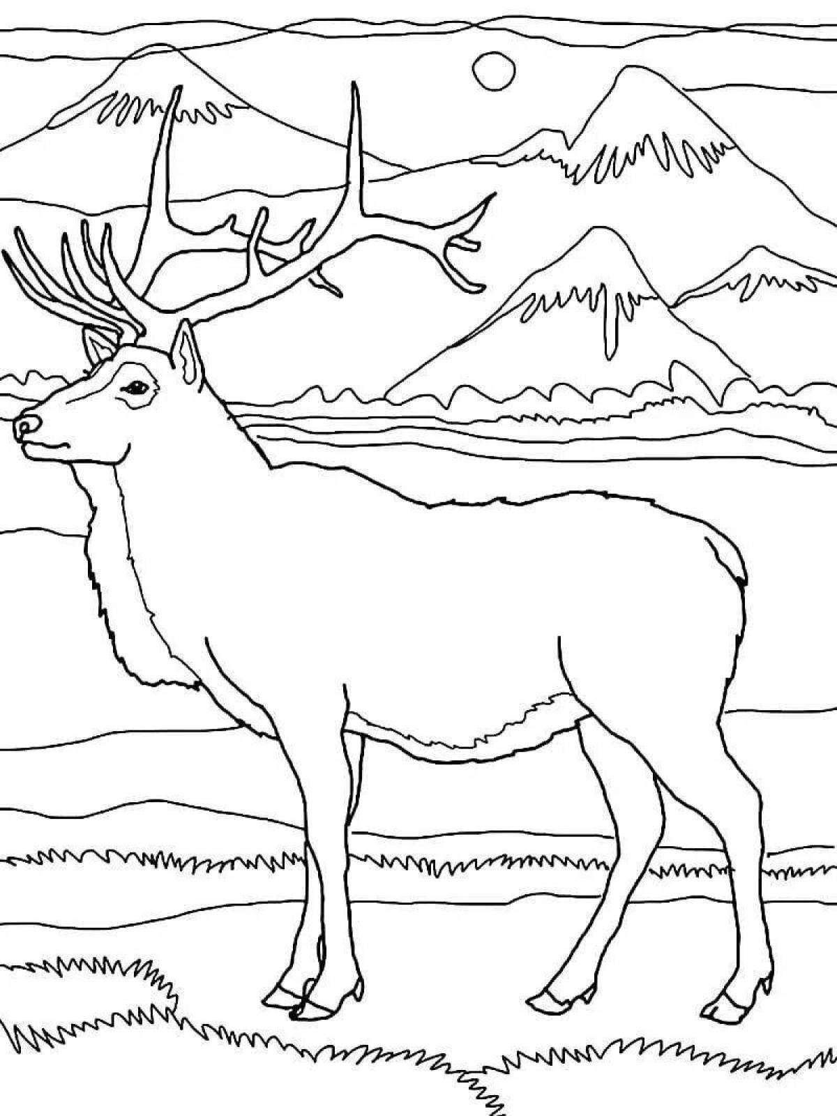 Amazing tundra animal coloring page
