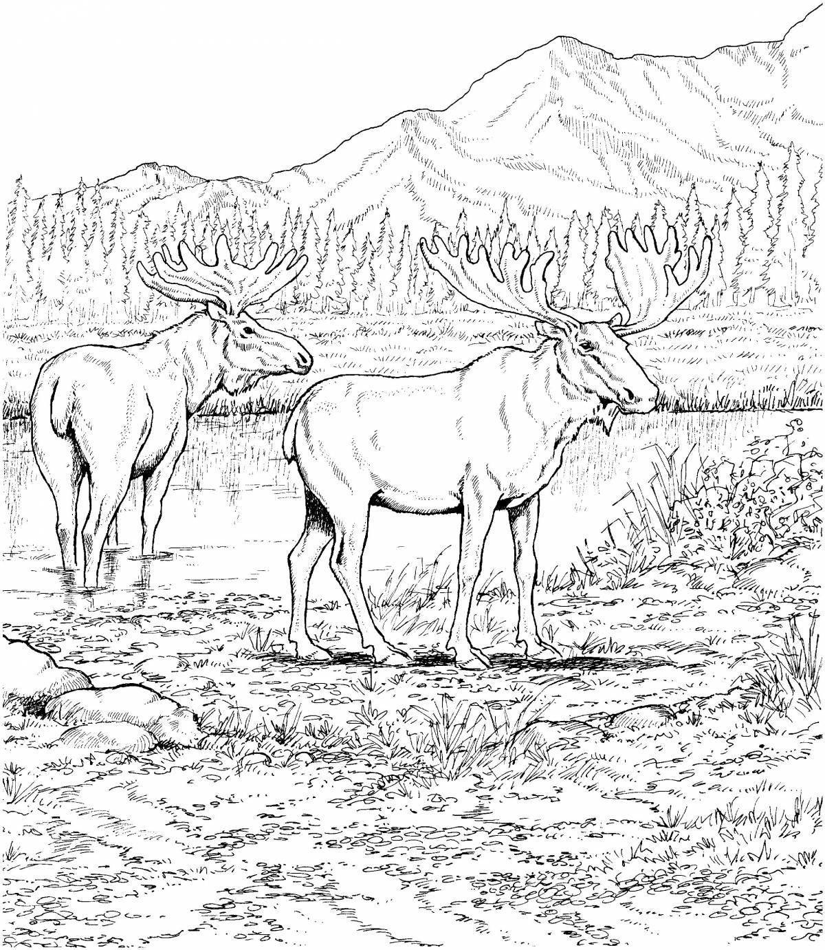 Great tundra animal coloring book