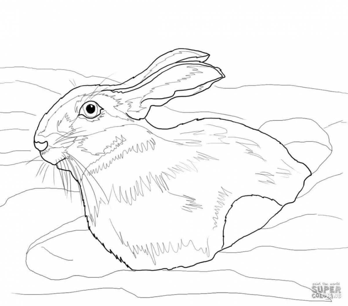 Awesome tundra animal coloring page