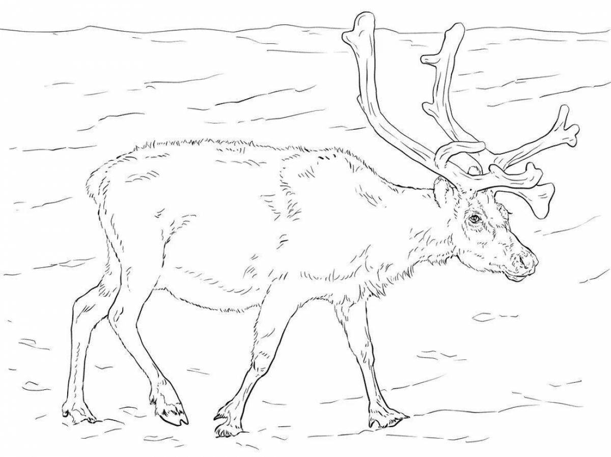 Coloring serene tundra animals