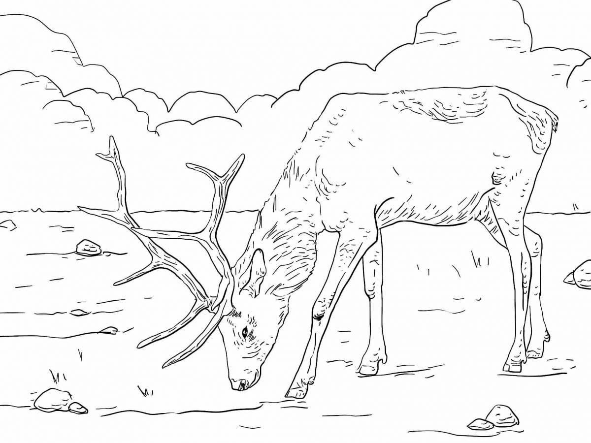 Colouring peaceful tundra animals