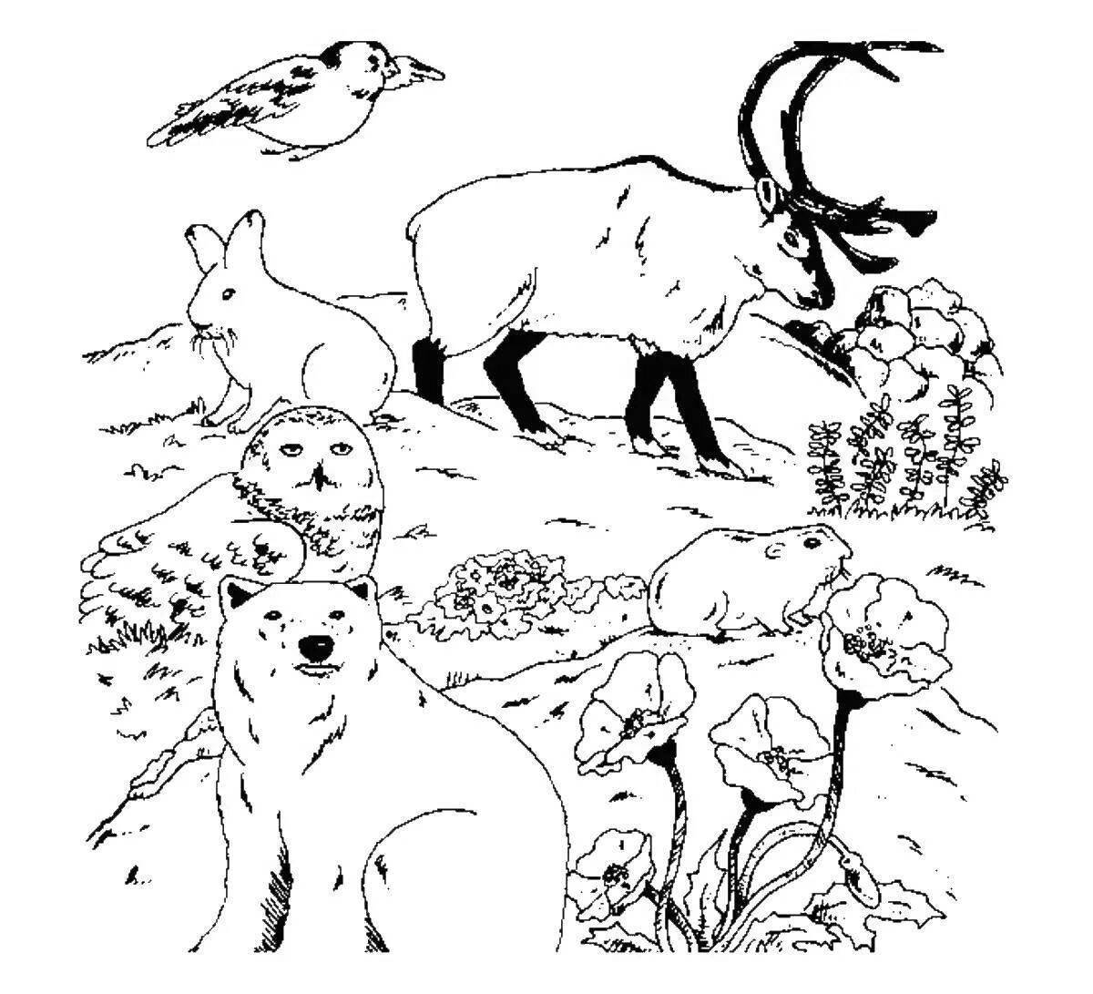 Calming tundra animal coloring book