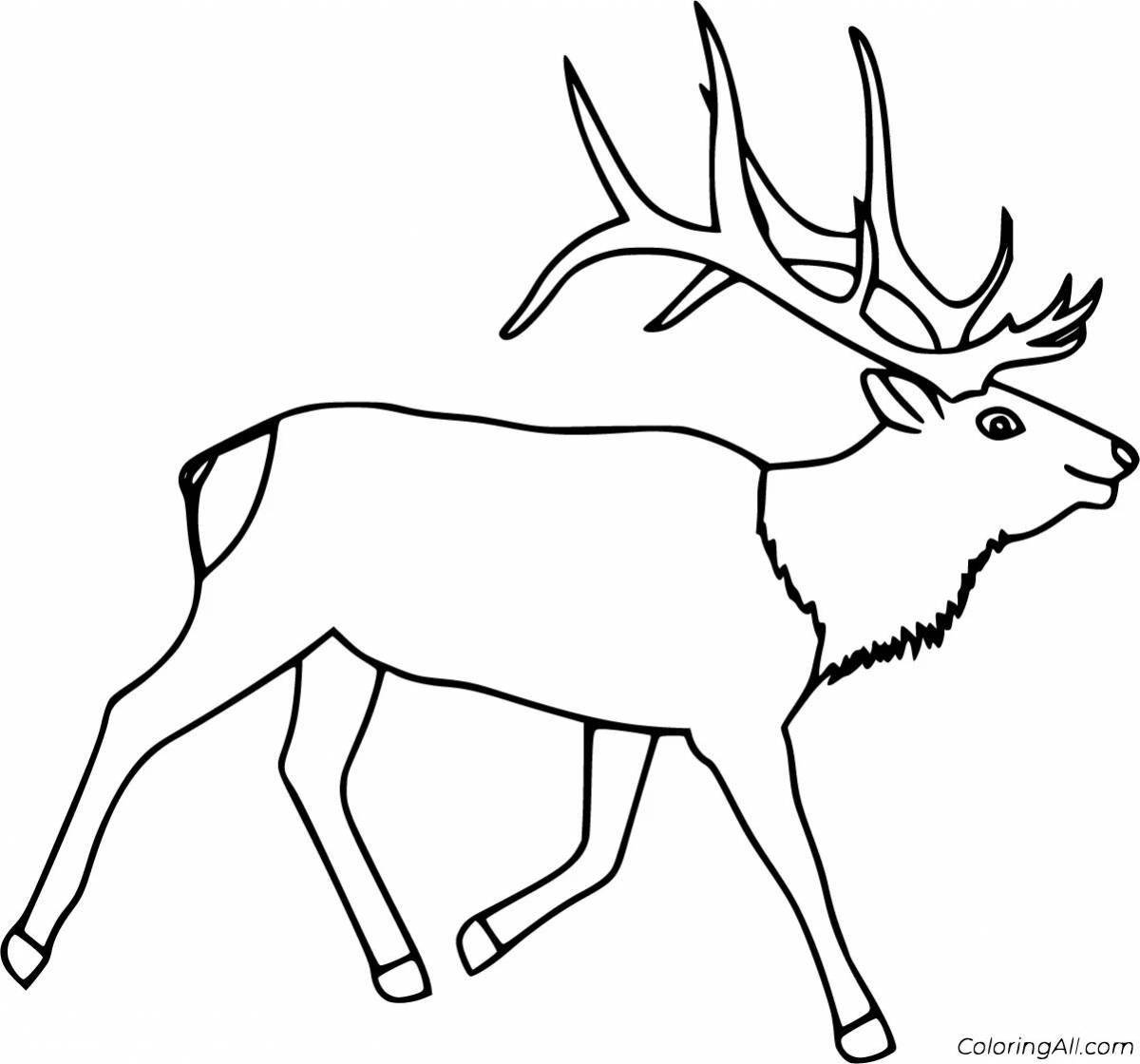Attractive tundra animal coloring page