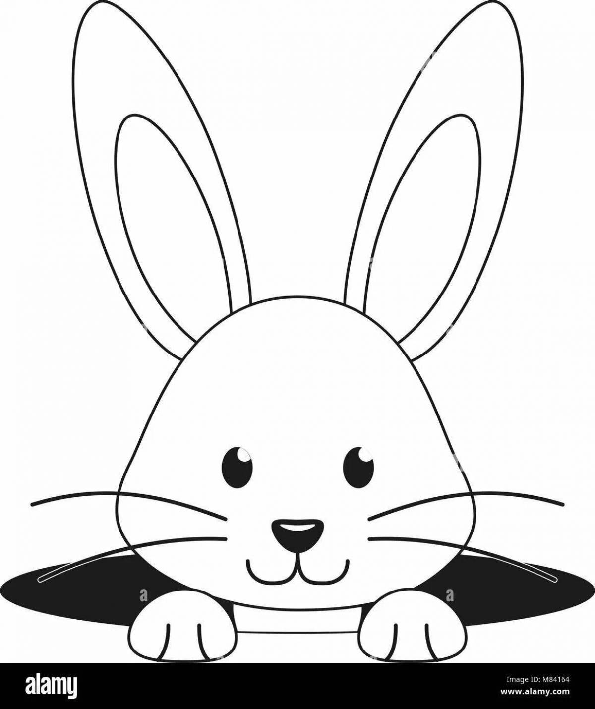 Witty rabbit head coloring book