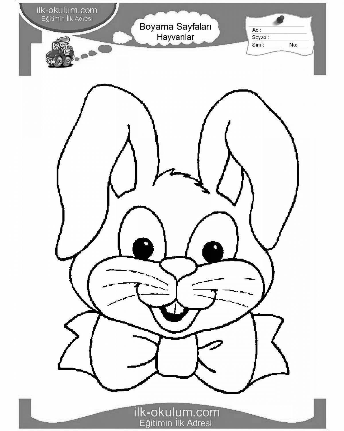 Funny rabbit head coloring book