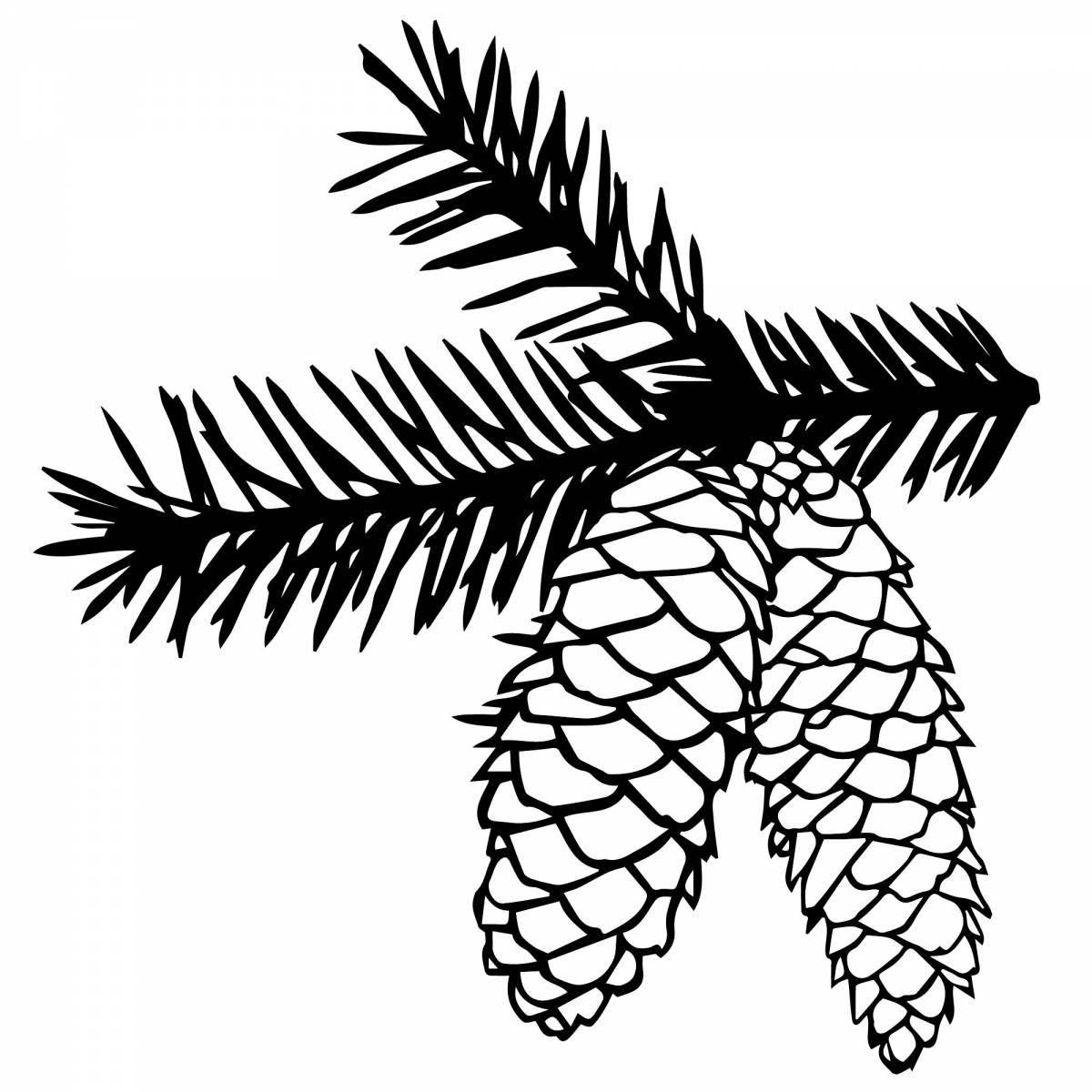 Colorful coloring fir cone