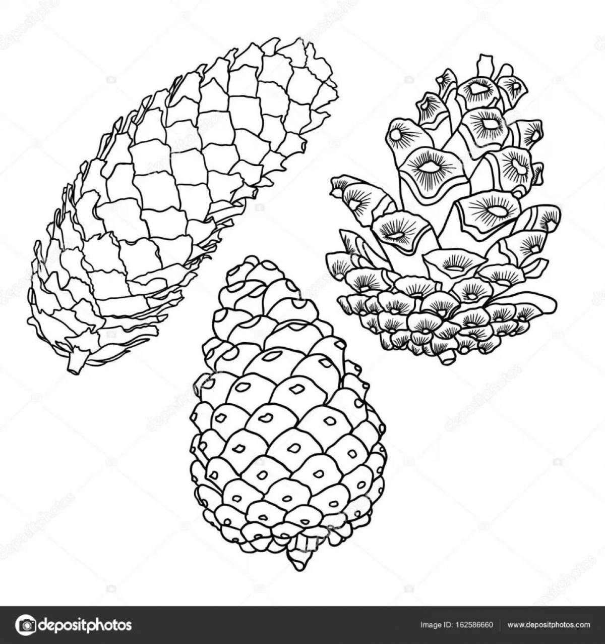 Spruce cone shiny coloring book