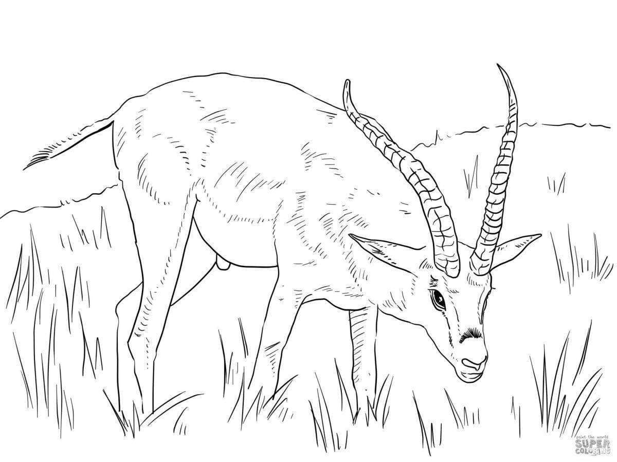 Charming gazelle coloring page