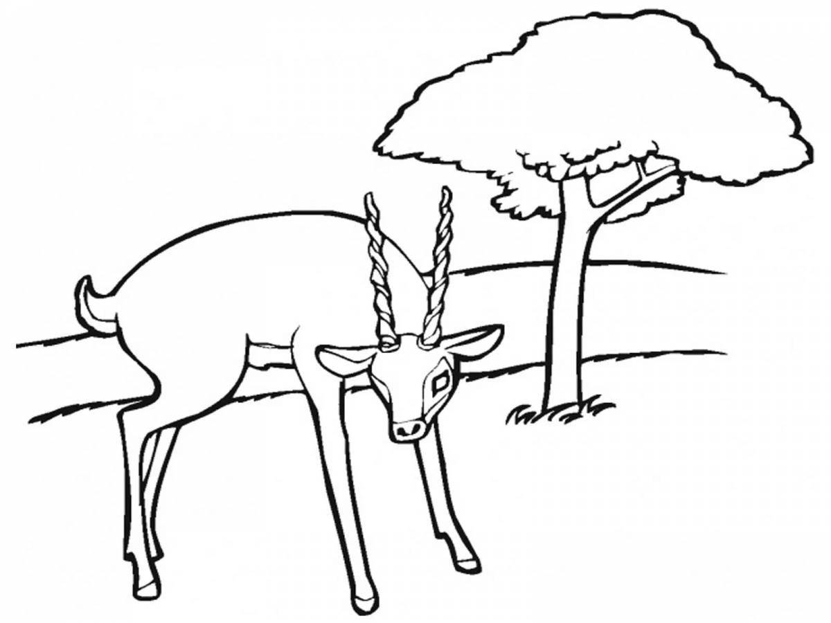 Awesome gazelle coloring page
