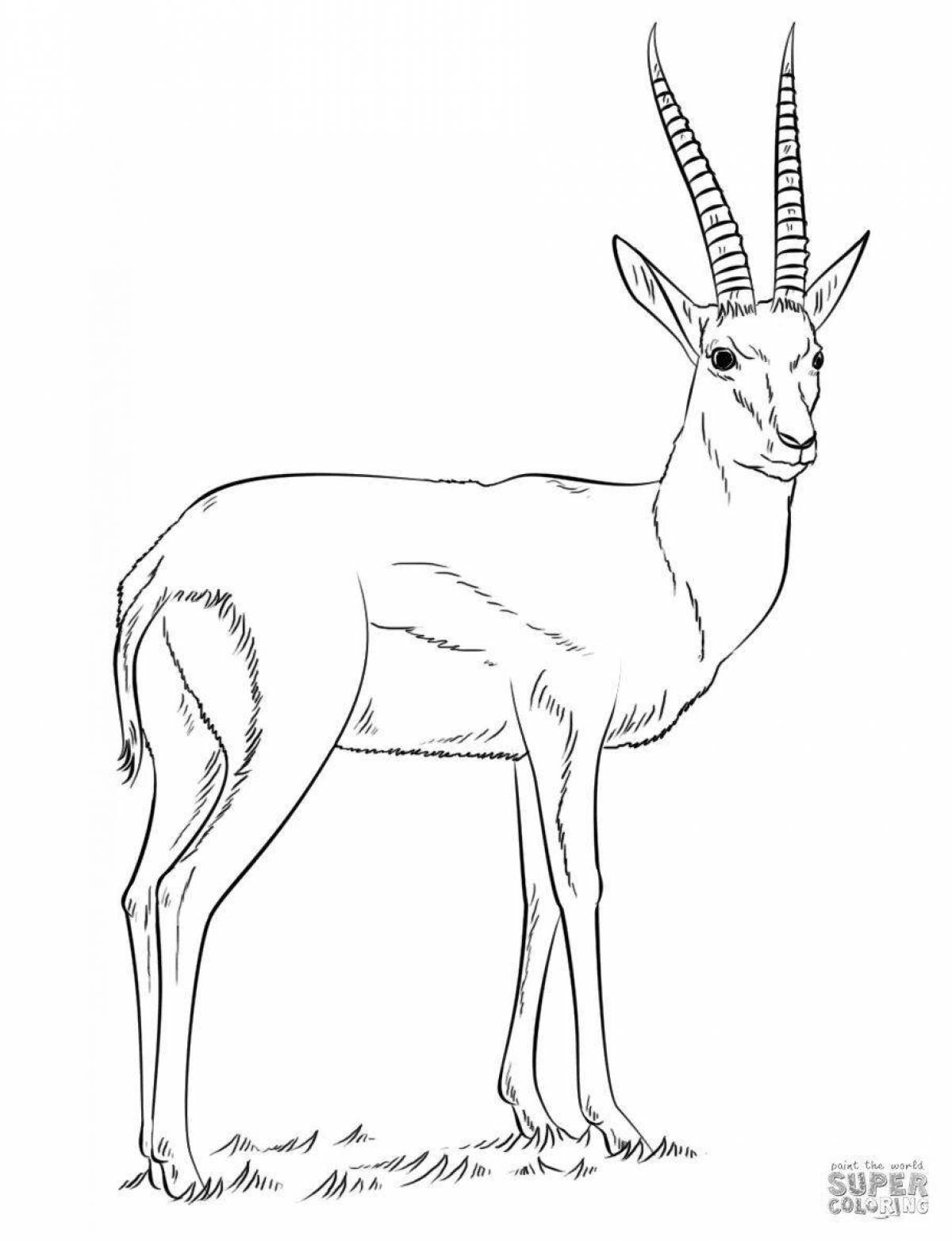 Coloring elegant gazelle