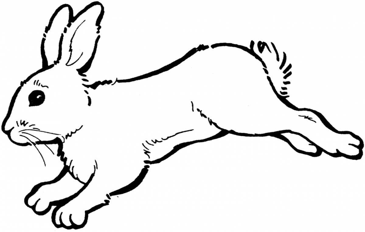 Необычный шаблон раскраски страницы кролика