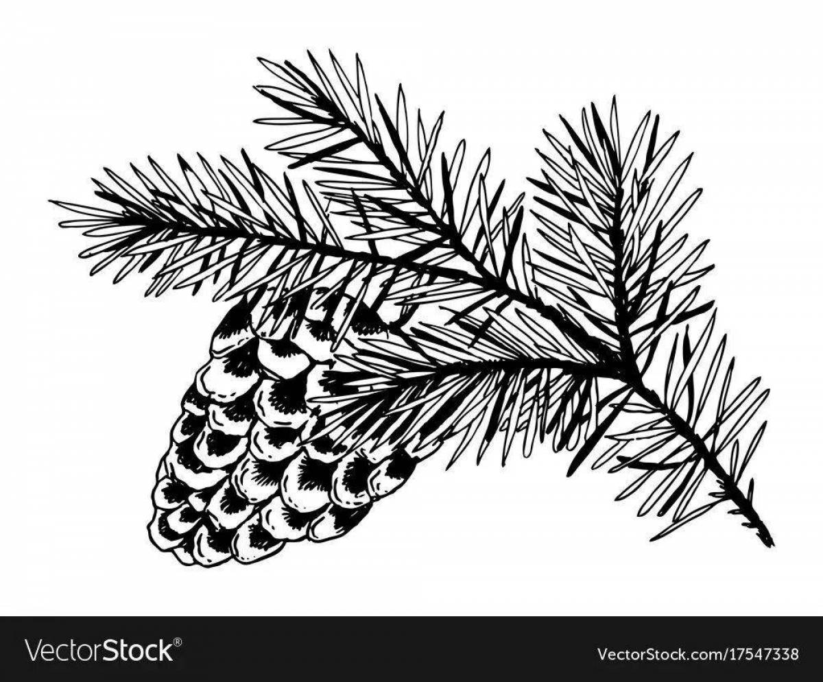 Coloring page bold spruce branch