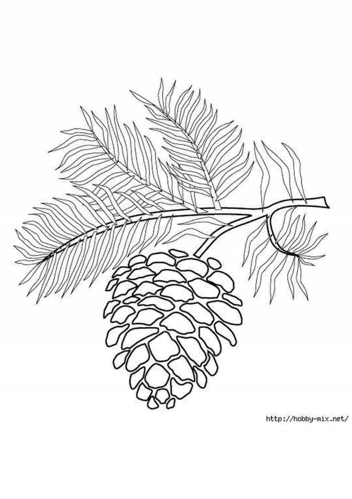 Fancy spruce branch coloring page