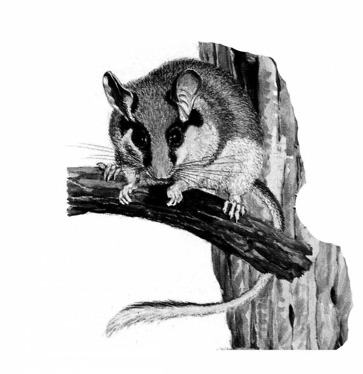 Photo Adorable dormouse forest coloring page