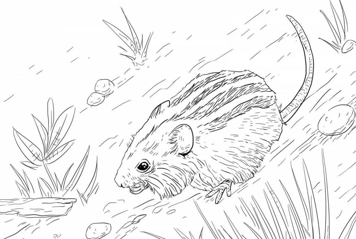 Coloring book shining dormouse forest