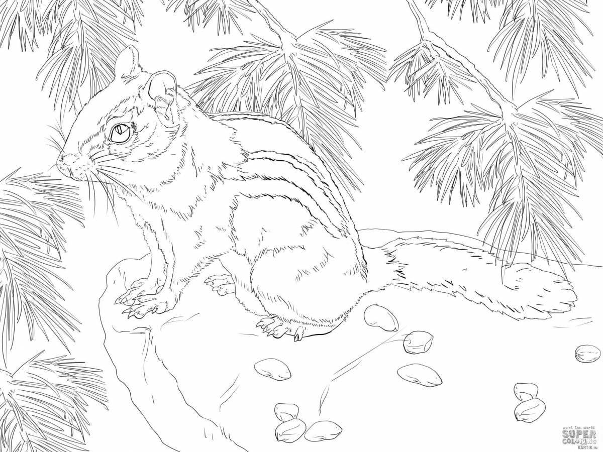Coloring book shiny forest dormouse