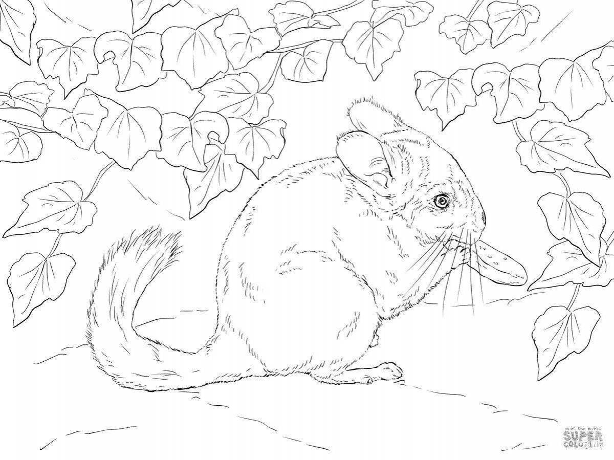 Coloring book captivating dormouse forest