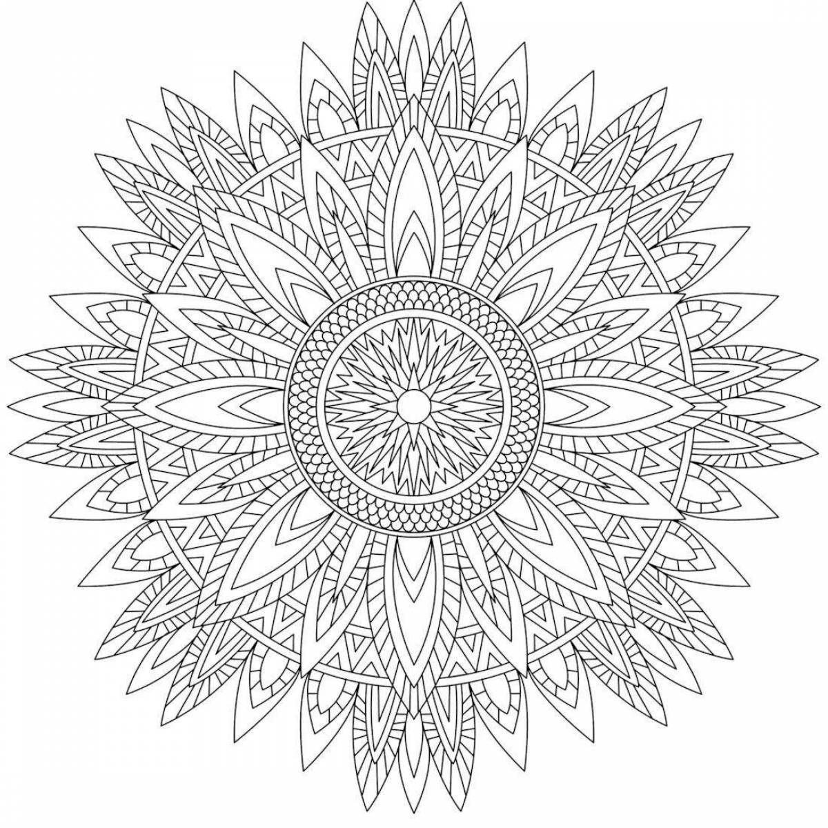 Exquisite success mandala coloring book