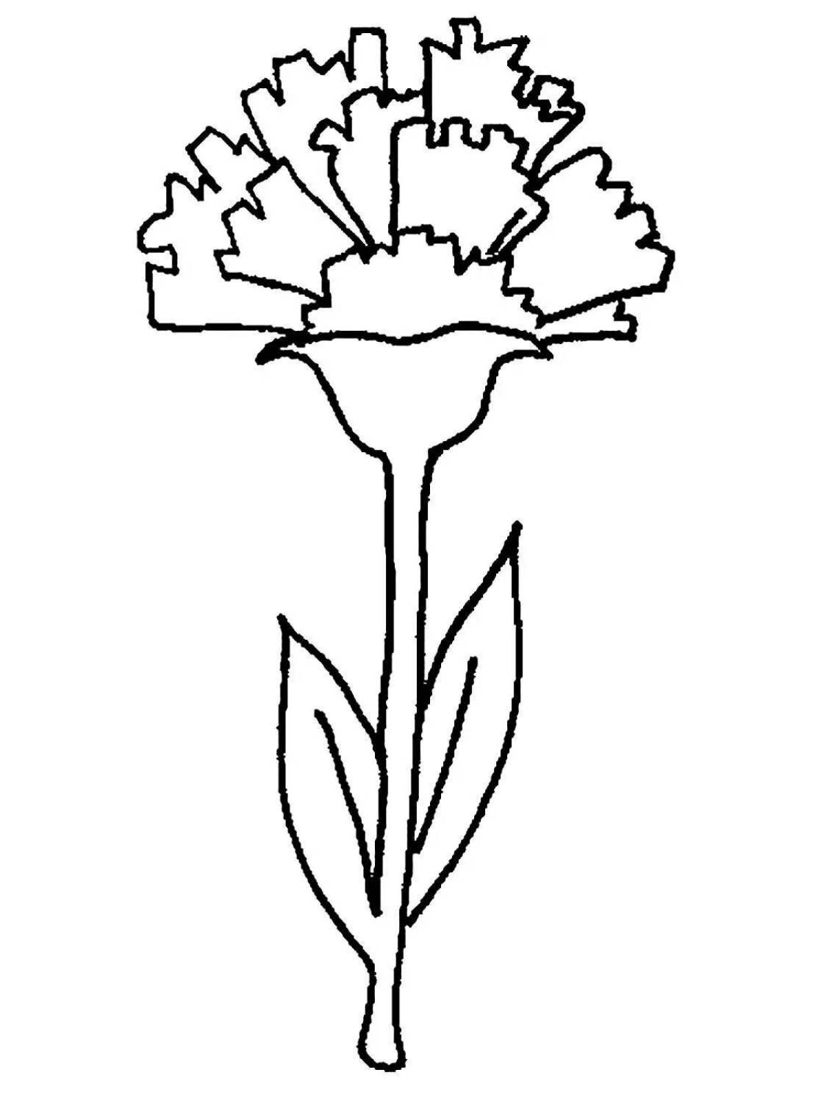 Colourful carnation coloring book