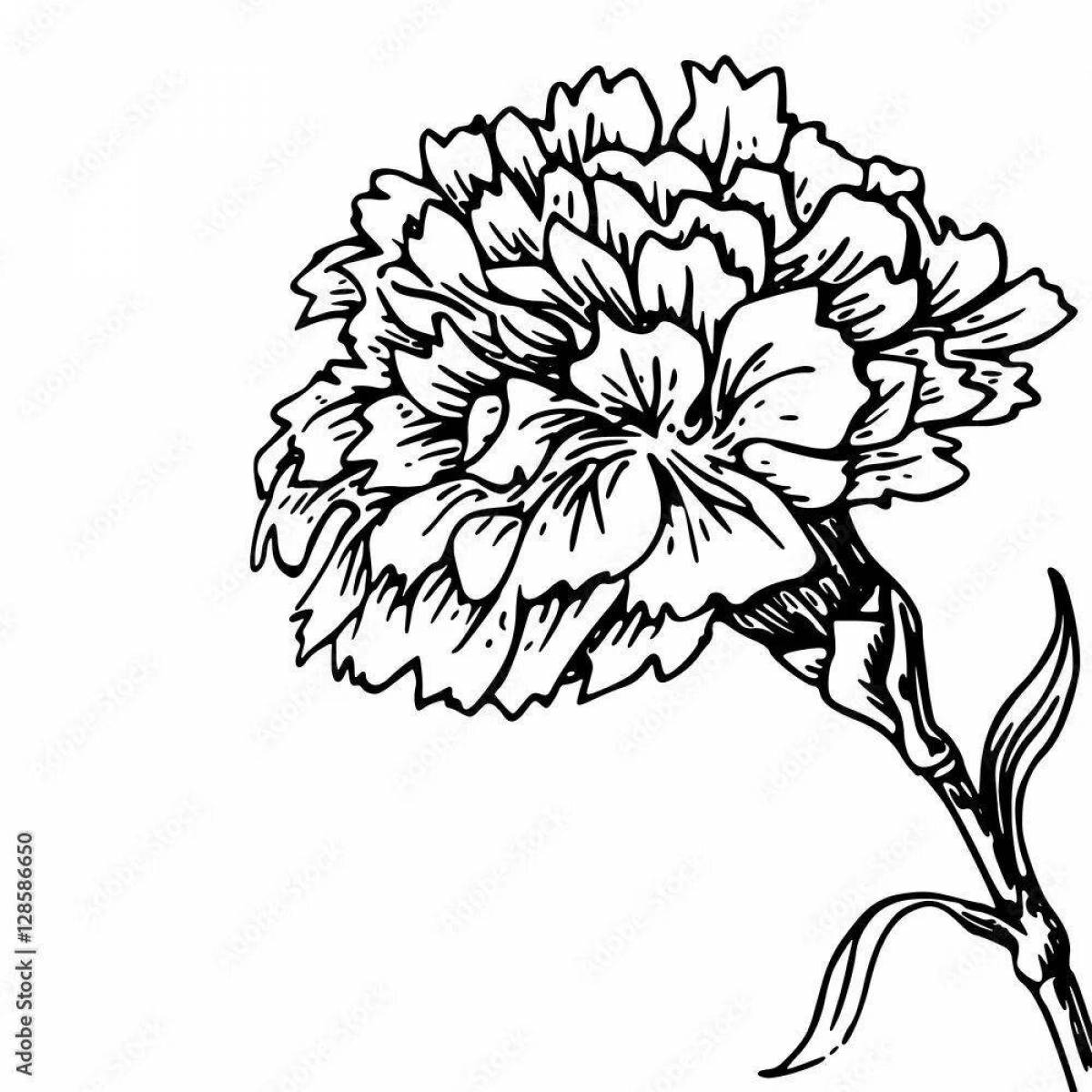 Coloring page with colorful carnation pattern