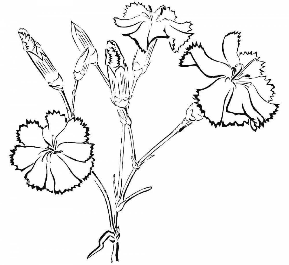 Coloring book gorgeous carnation