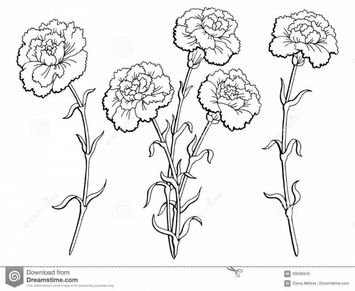 Gorgeous carnation pattern coloring page