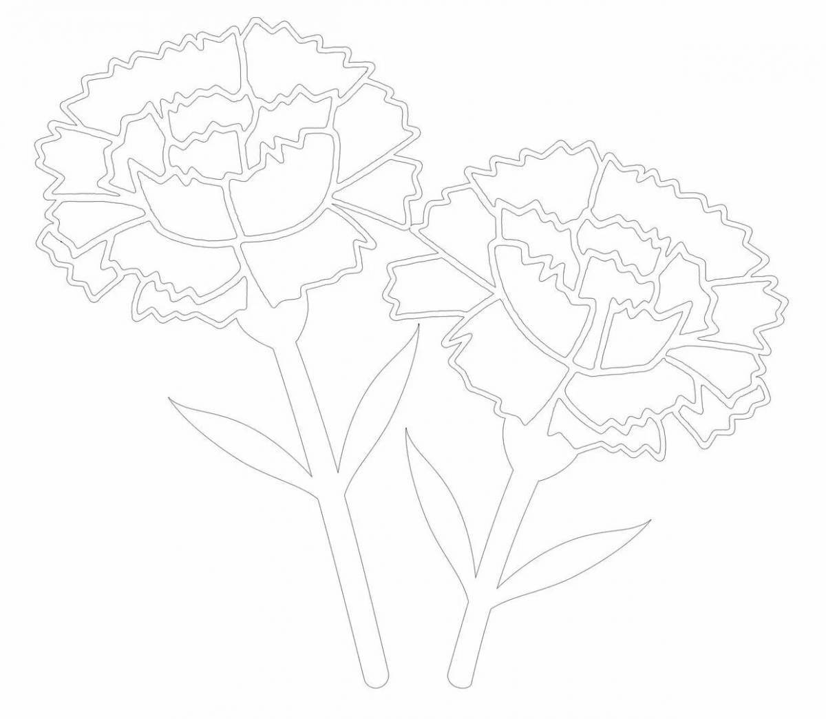 Fairy carnation pattern coloring book