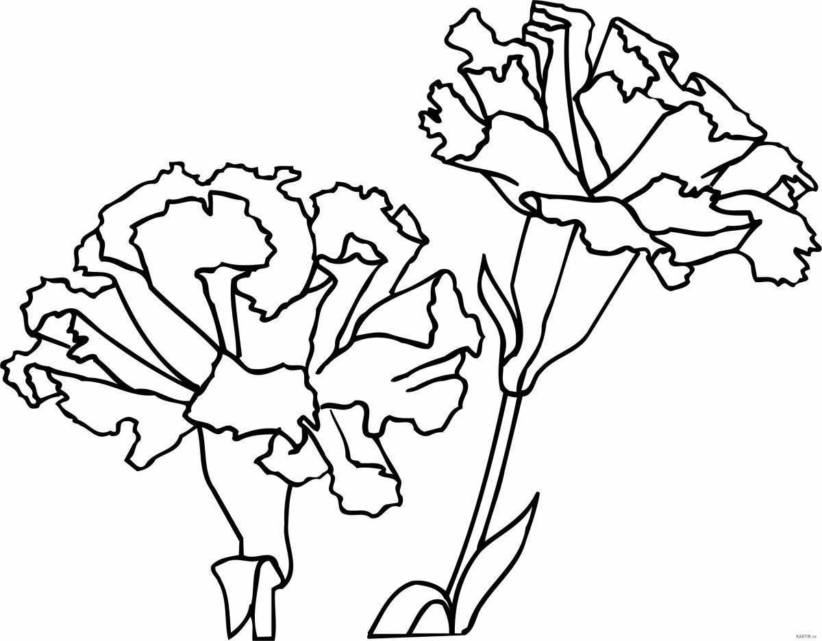 Refreshing carnation pattern coloring page