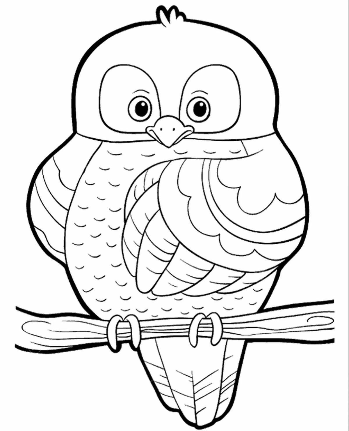Coloring book charming long-eared owl