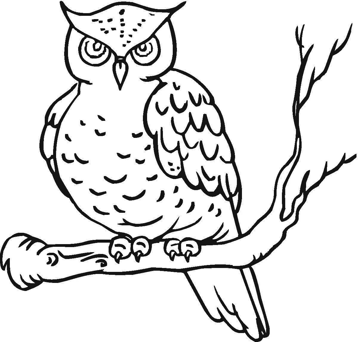 Charming long-eared owl coloring book