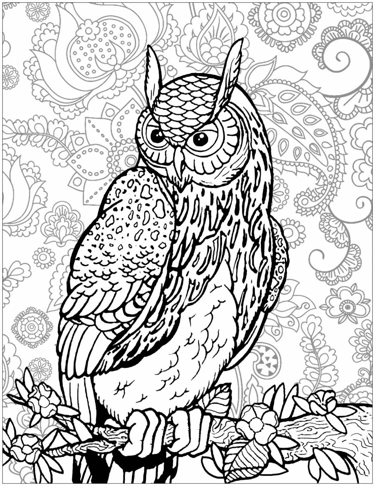 Royal long-eared owl coloring page
