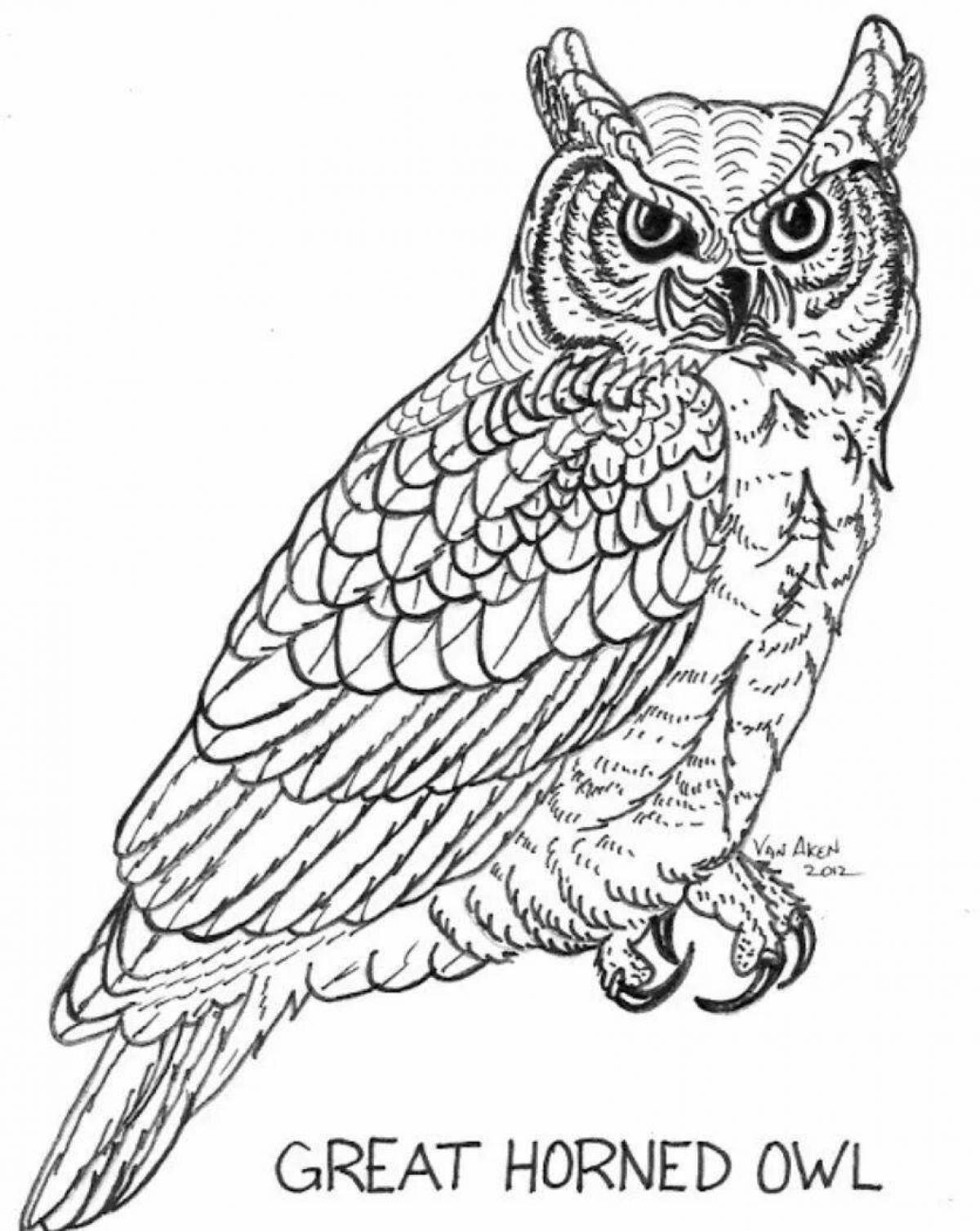 Colouring serene long-eared owl