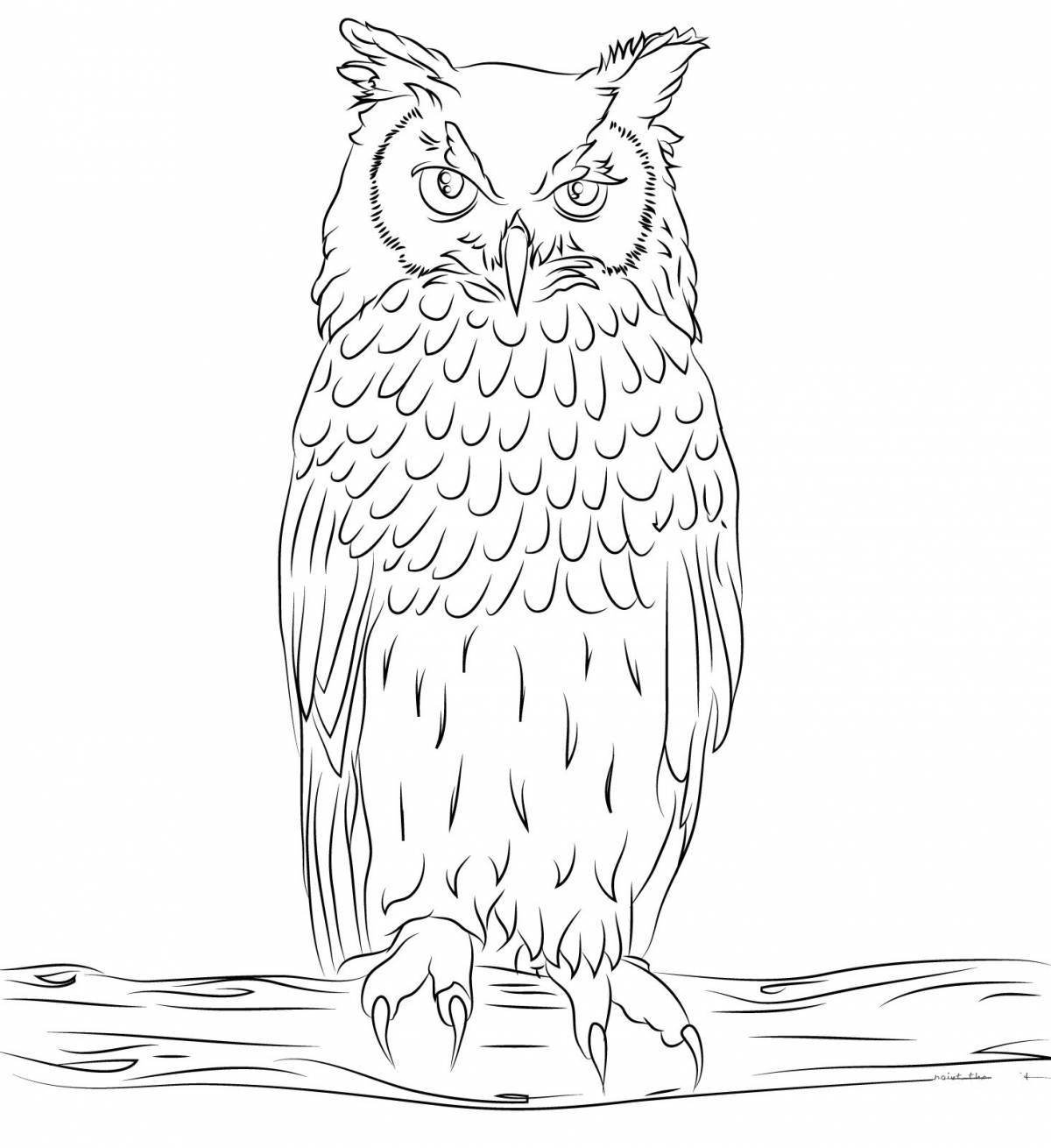 Coloring book art long-eared owl