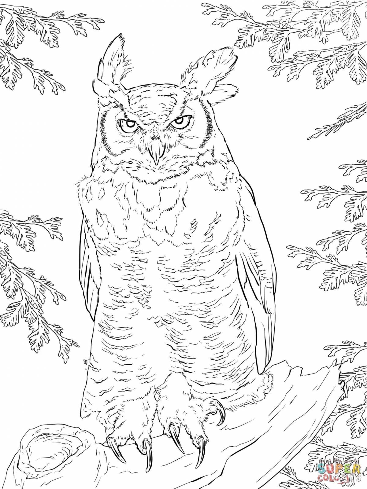 Great long-eared owl coloring book