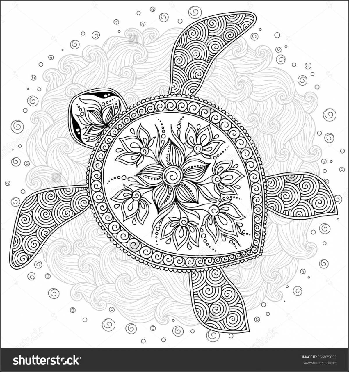 Colorful anti-stress turtle coloring book