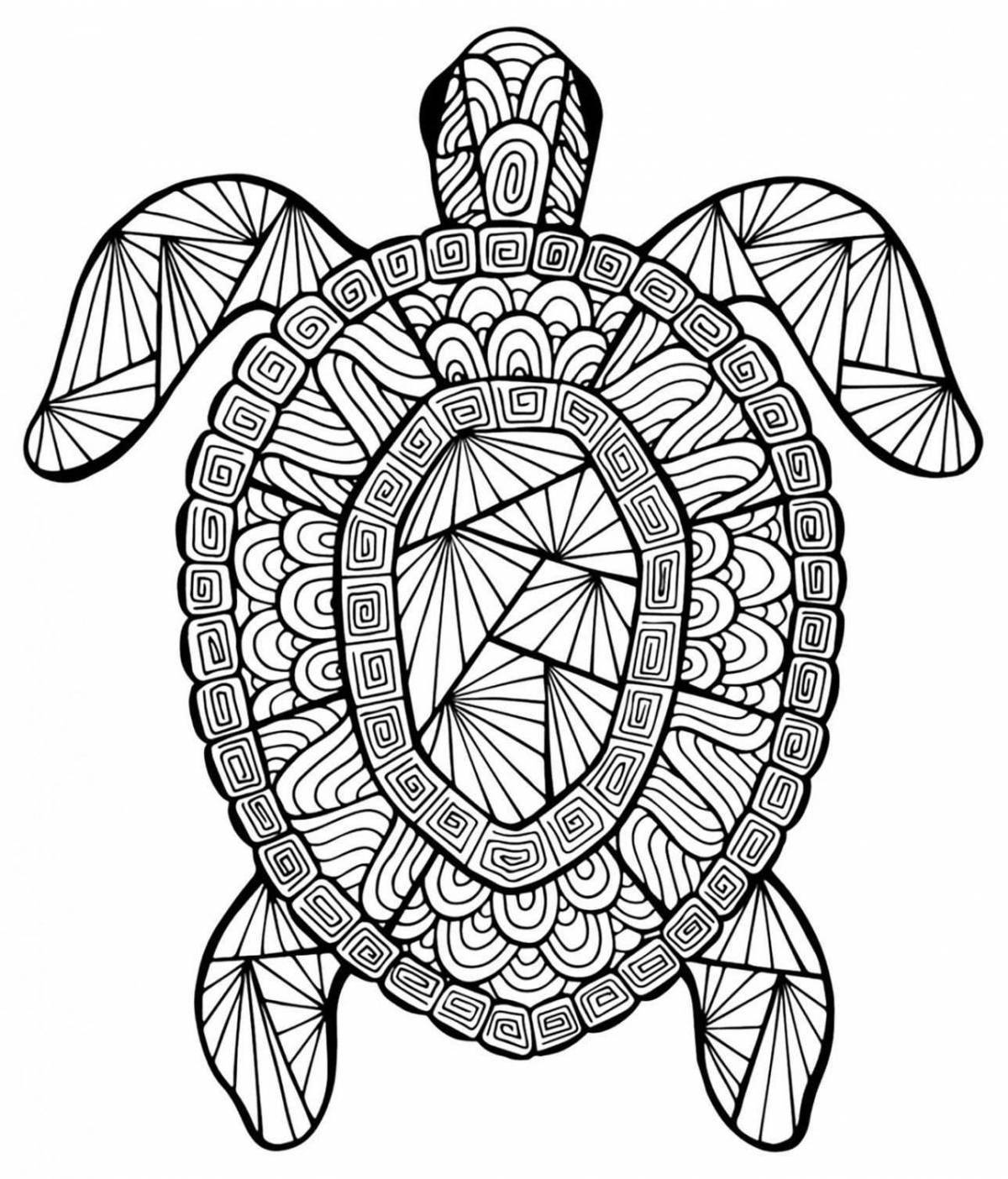 Bright anti-stress turtle coloring