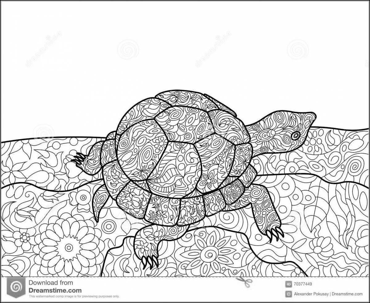 Веселая антистрессовая черепаха-раскраска