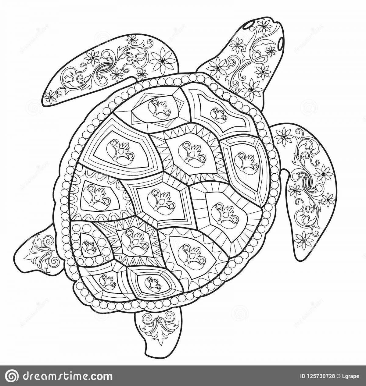 Раскраска спокойная антистрессовая черепаха