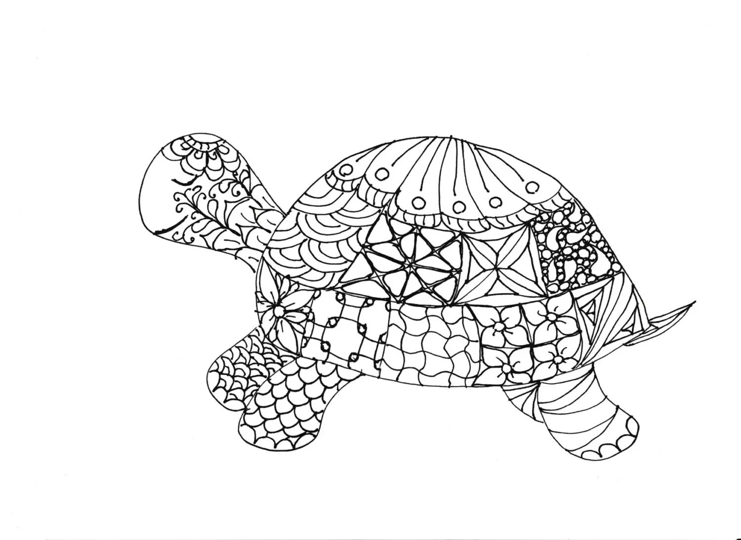 Увлекательная антистрессовая раскраска черепаха