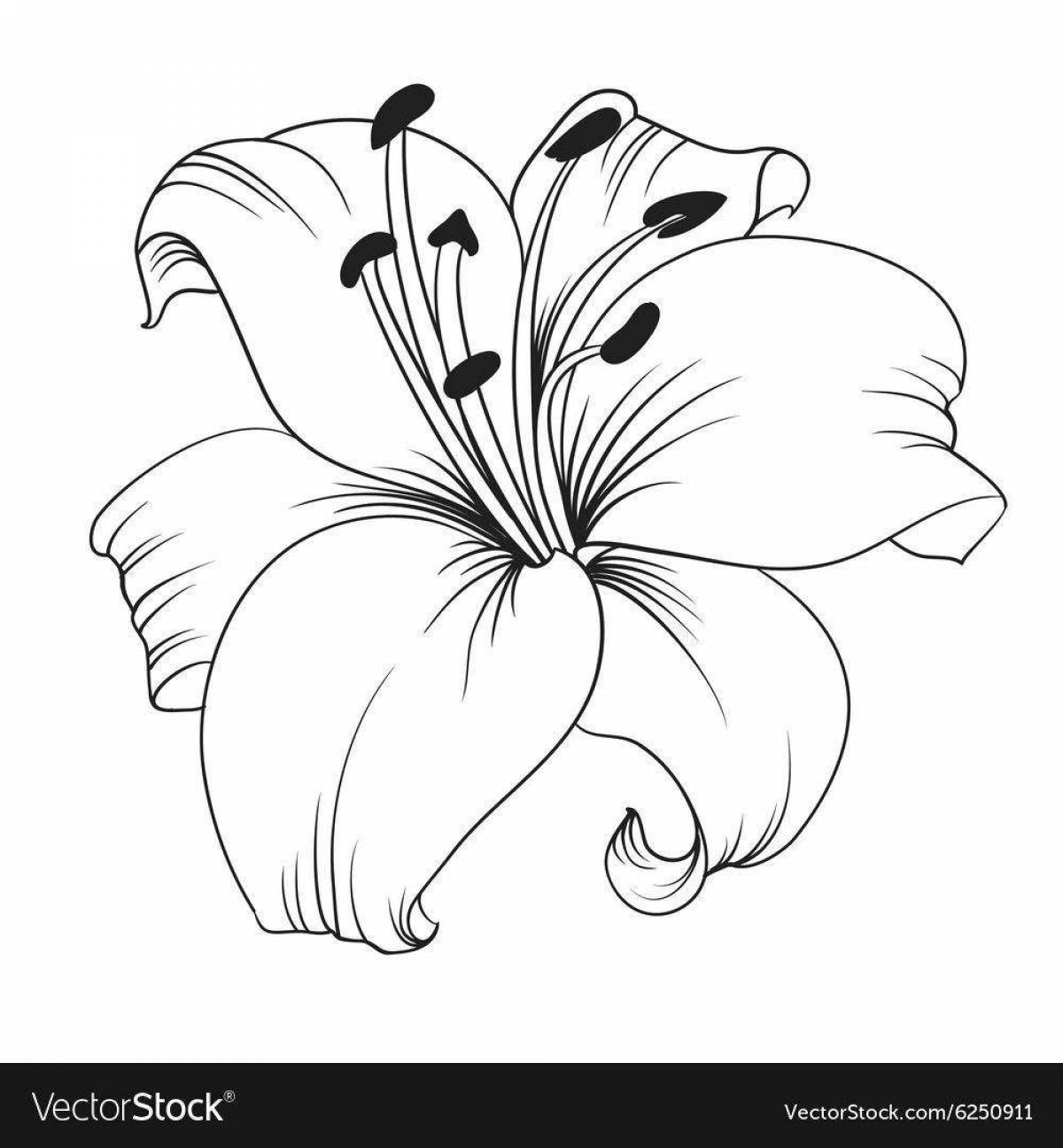 Adorable lily saranka coloring page