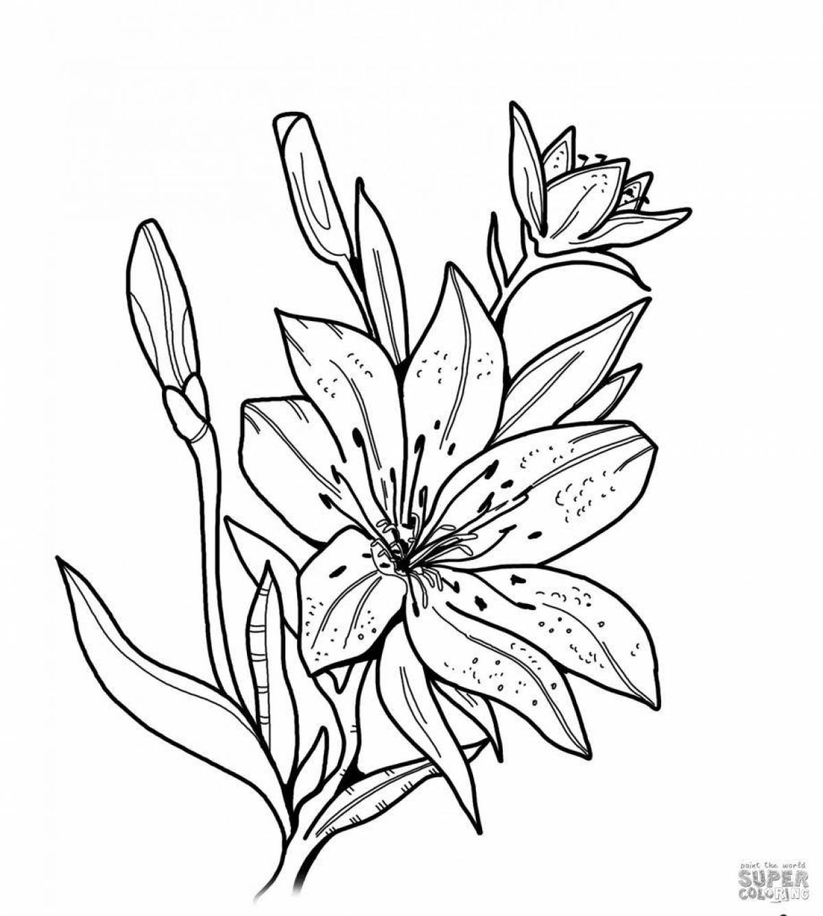 Раскраска сказочная лили саранка