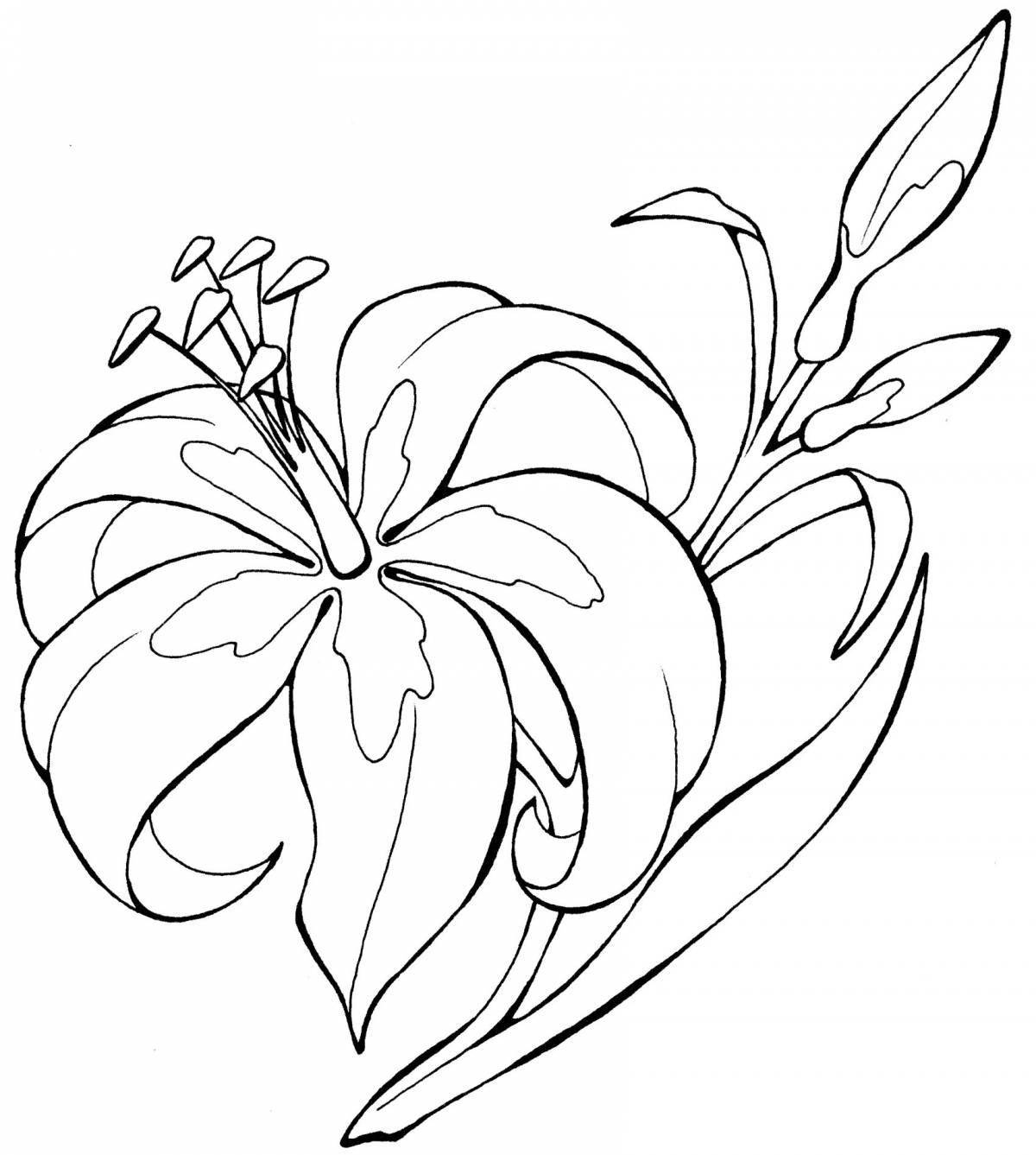 Coloring book beautiful lily saranka