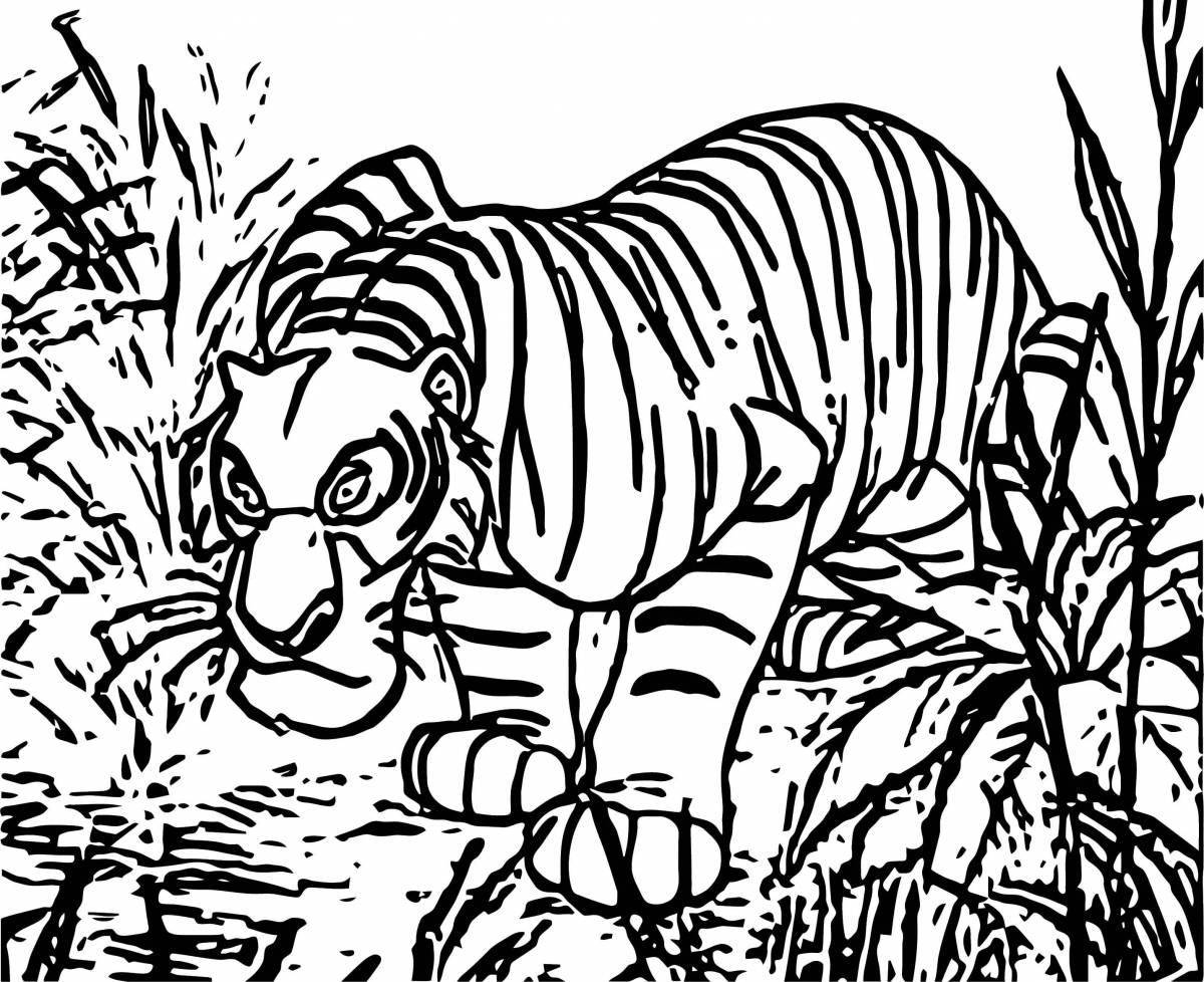 Раскраска славный тигр шерхан