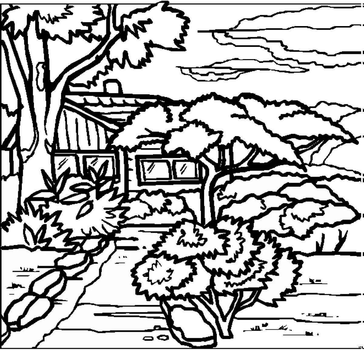 Scenic nature coloring for boys