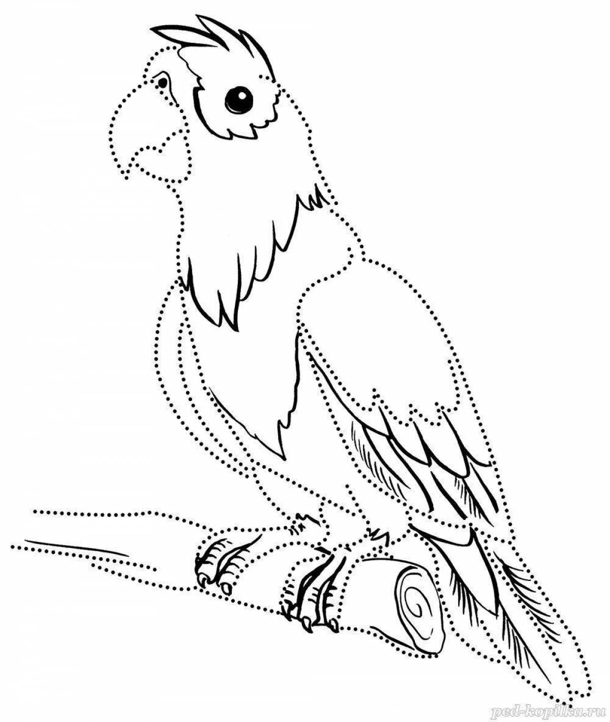 Раскраска домашние питомцы попугай
