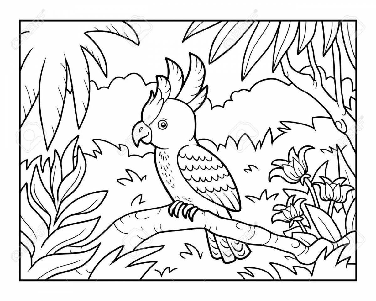 Попугай в лесу раскраска